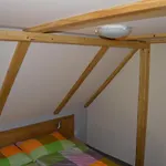 Dana Appartement Horni Branna