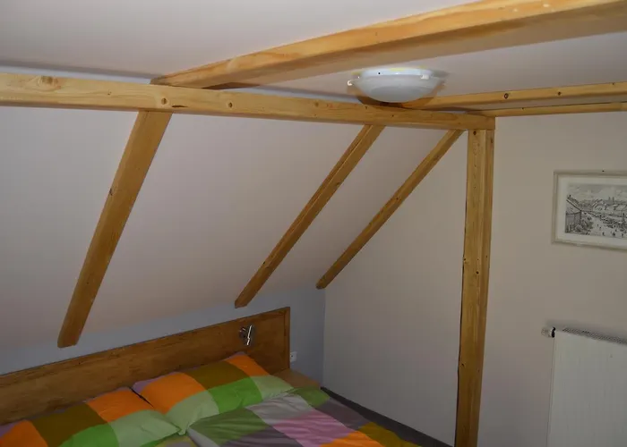 Dana Apartamento Horni Branna
